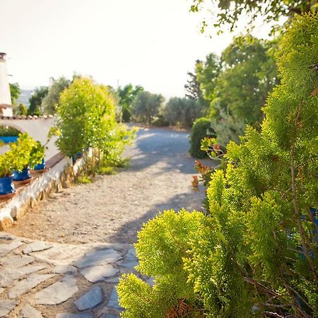 Cuevas De Rolando Guest House Guadix Eksteriør bilde